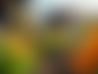 Transforming Lives Through Community Service Programs