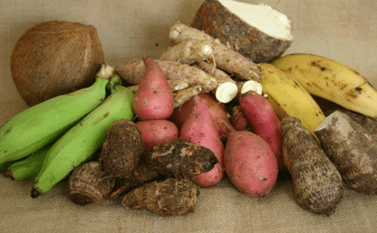 provisions.gif