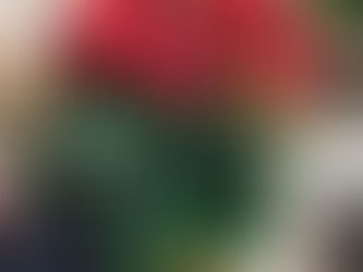Christmas Flowers Are Coming to BouquetCyprus | Christmas Flower Delivery in Cyprus
