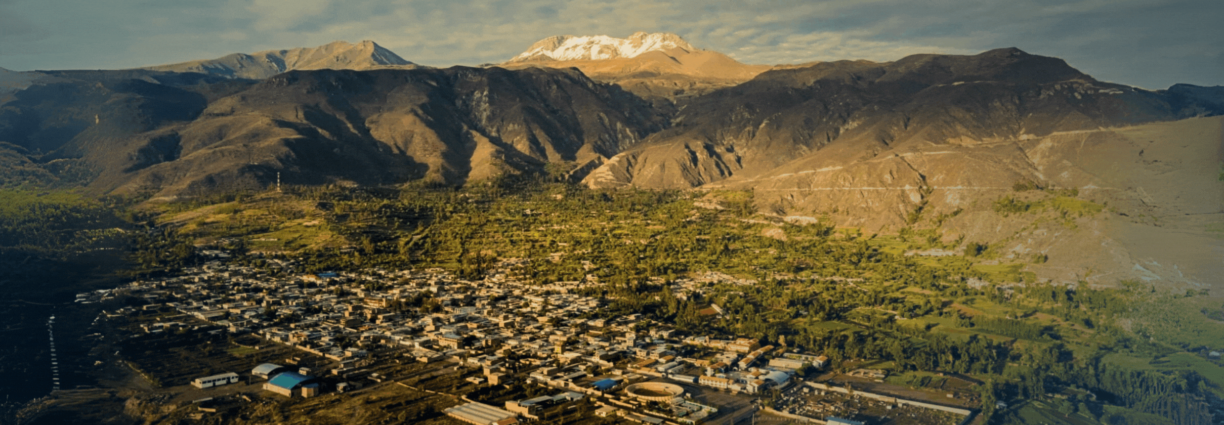 Internet (72 x 25 in).gif