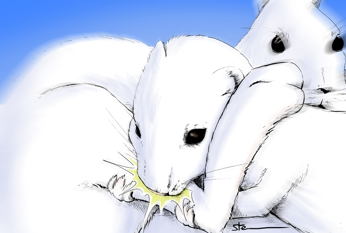 Blanc sur blanc