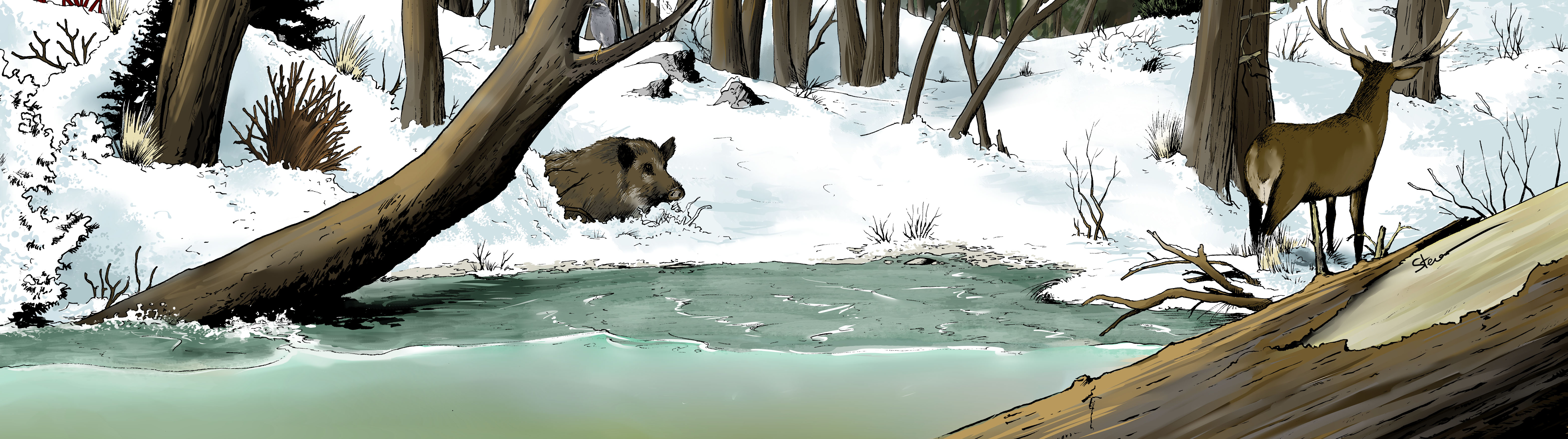 illustration sibérie