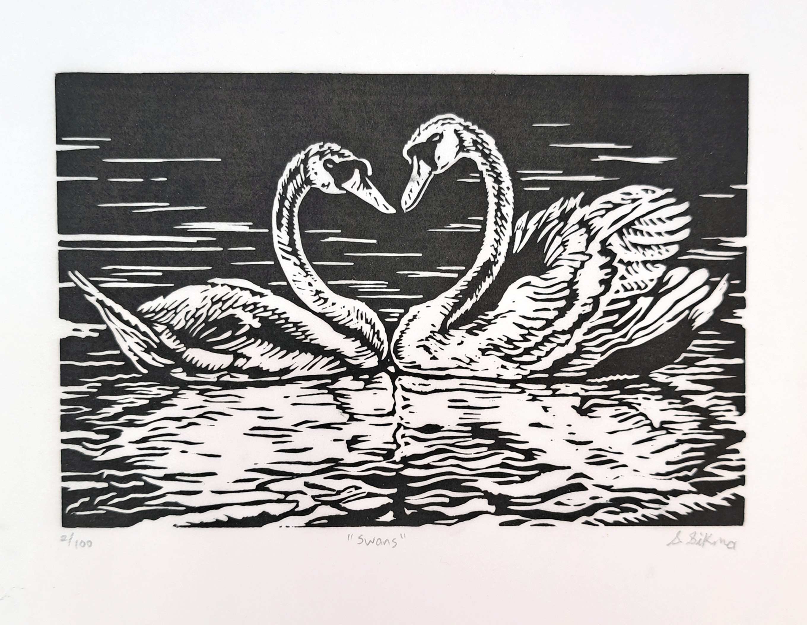 Swans