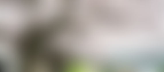 炎洲集團旺洲極品優化景觀設計及施工案 新北市首座住宅鑽石級綠建築