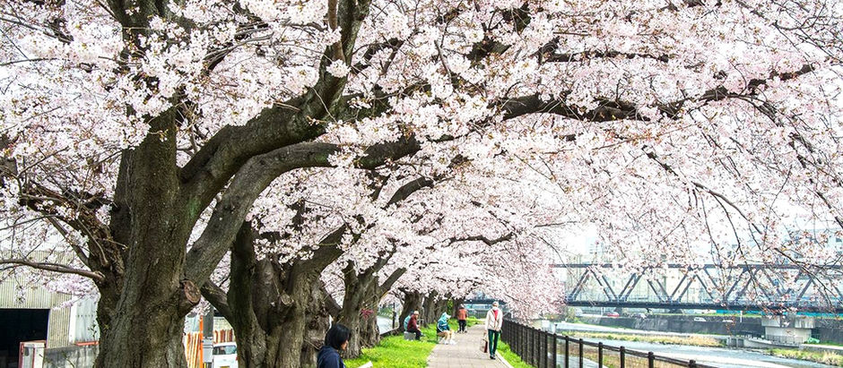 炎洲集團旺洲極品優化景觀設計及施工案 新北市首座住宅鑽石級綠建築
