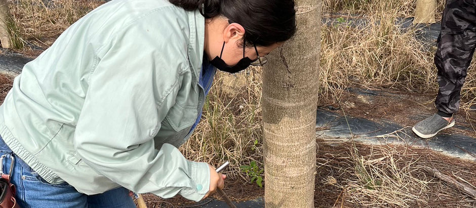 專業驗苗，從源頭確保景觀品質