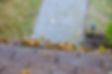 gutter01.jpg