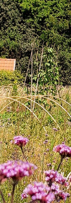 2022-06-30 12.16.15.jpg