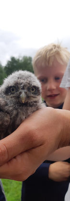 2022-05-21 11.18.06.jpg