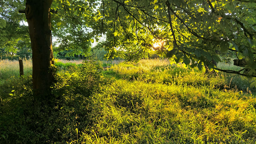 2024-06-24 21.09.06-1.jpg