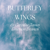 Butterfly Wings