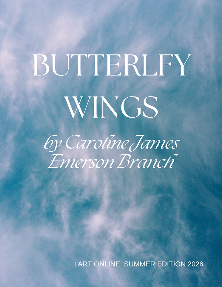 Butterfly Wings.png