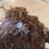 Thumbnail: Brachypelma albopolosum | Curly Hair Tarantula