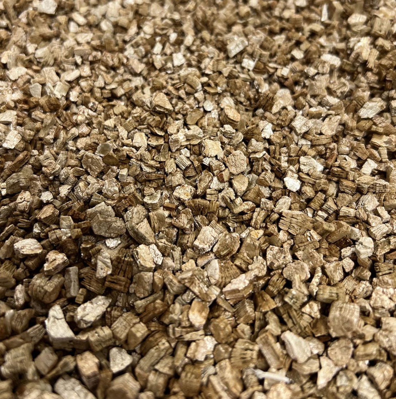 Vermiculite for Reptiles