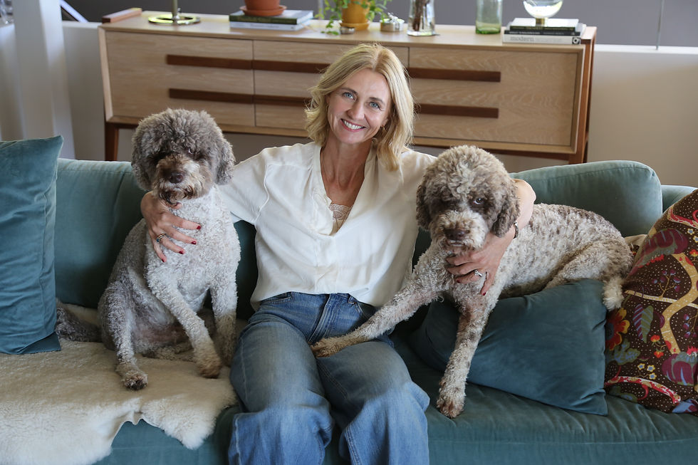 I samarbete med Dognews