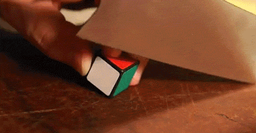 giphy (2)