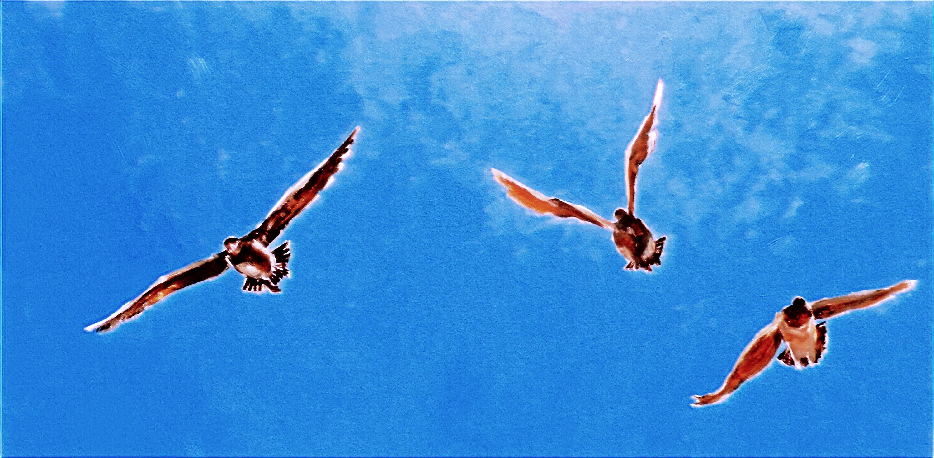 Flight