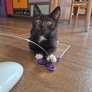 ืืื ืืงืก