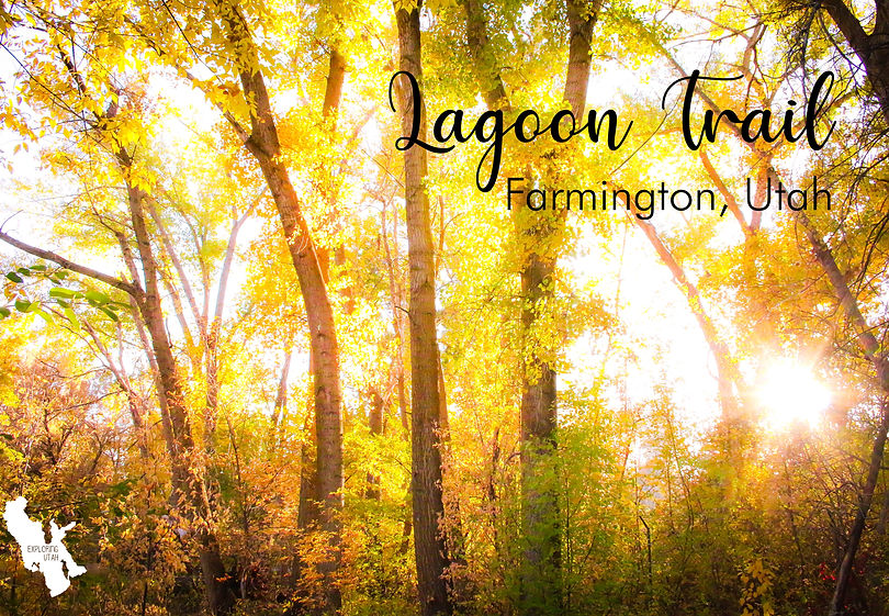 Lagoon Trail Header.jpg