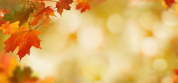 AC6F7C7A-79D7-4279-8F3E-D80CC0F1B9C2.jpeg