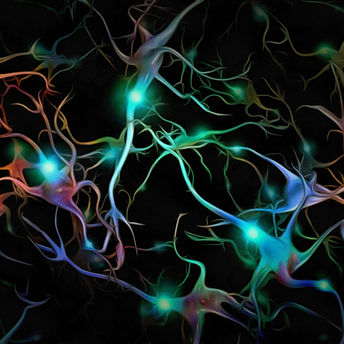 Emotionsanalyse und Regulation