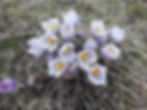 2014-04-25 18.14.14