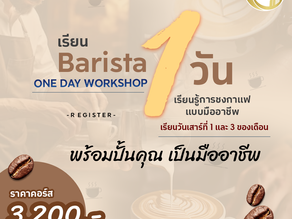 เรียน Barista 1 วัน ในกิจกรรม ONE DAY WORKSHOP ✨