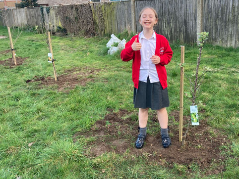 Creating Our Orchard