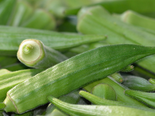 Unveiling the Nutritional Powerhouse: Ladyfinger (Okra) - Nutrition, Benefits, Tips, and Recipes