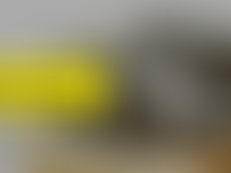 Basil seeds for weight loss.