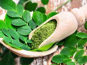 Unraveling the Marvels of Moringa: A Nutritional Powerhouse