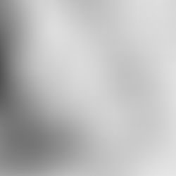 On FaceTime and Voice Notes: A Year of Virtual Friendship
