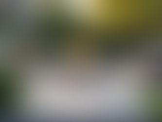 Professional hardscaping services in Castle Rock CO by Bluebird Design & Landscape