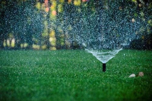 Overhead spray sprinkler watering a grass lawn in Douglas County during summer.