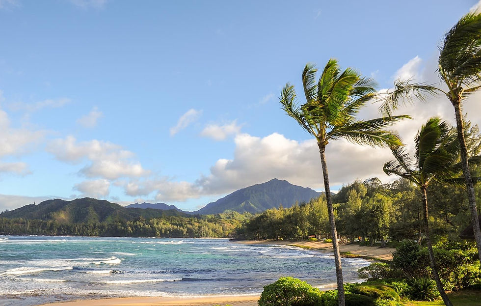 wainiha-bay.jpg