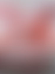 Stem cell potential — is 'preventative geriatrics' the wave of the future?