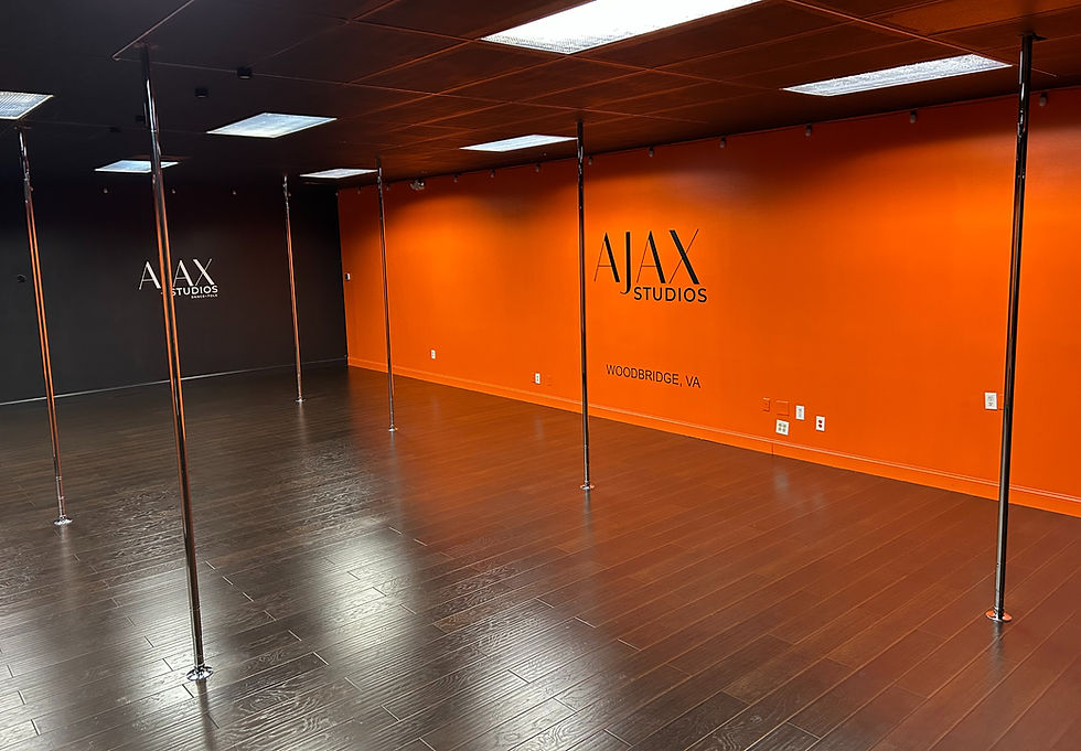 Join us for an exciting introduction to pole dancing!