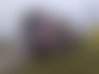 Vaquejada de Serrinha contará pela primeira vez com Sistema de Reconhecimento Facial