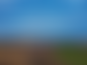 Empresa planeja investir mais de R$ 8 bilhões em parques eólicos em quatro municípios da Bahia