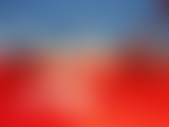 PT conquista três estados no 1º turno, todos no Nordeste