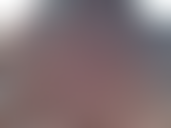 Em meio a onda de calor, cidade argentina é invadida por besouros