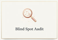 Blind Spot Audit Button