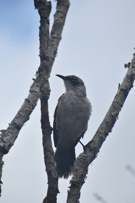 Galapagos Islands
July, 2023