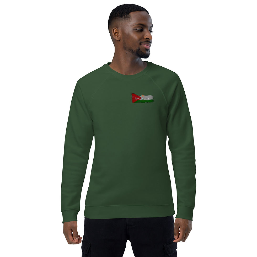 Thumbnail: Palestinian Unisex organic raglan sweatshirt