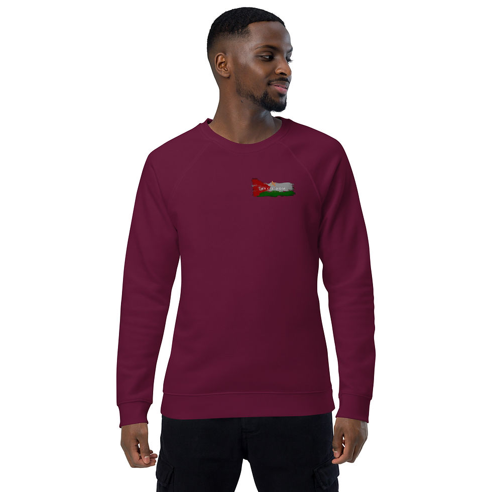 Thumbnail: Palestinian Unisex organic raglan sweatshirt
