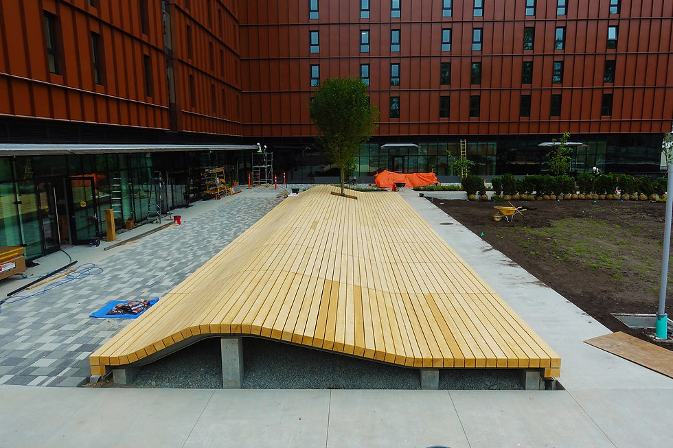 Yellow Cedar Wave Deck
