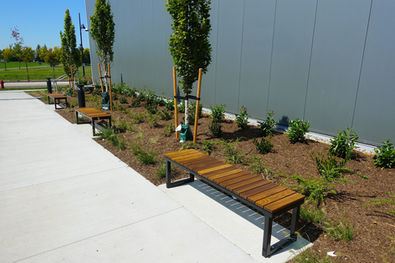Cloverdale Arena,
Wood Bench