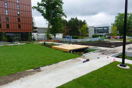 BCIT, Timber Deck
Yellow Cedar