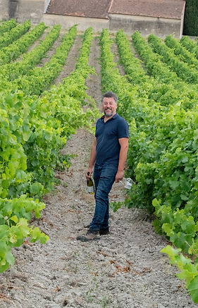 danslesvignes31.jpg