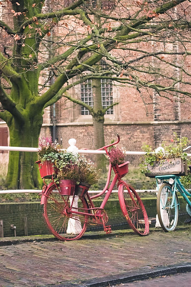 Photo by <a href="https://unsplash.com/@thezenoeffect?utm_source=unsplash&utm_medium=referral&utm_content=creditCopyText">Shyam</a> on <a href="https://unsplash.com/s/photos/bike-with-flowers?utm_source=unsplash&utm_medium=referral&utm_content=creditCopyText">Unsplash</a>